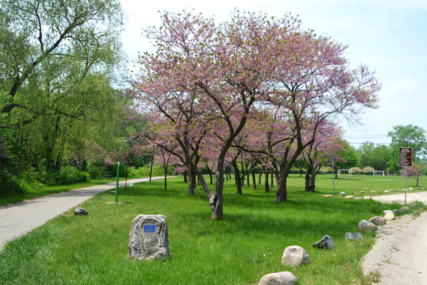 14 Outdoor Spring Adventures in the Ann Arbor Area